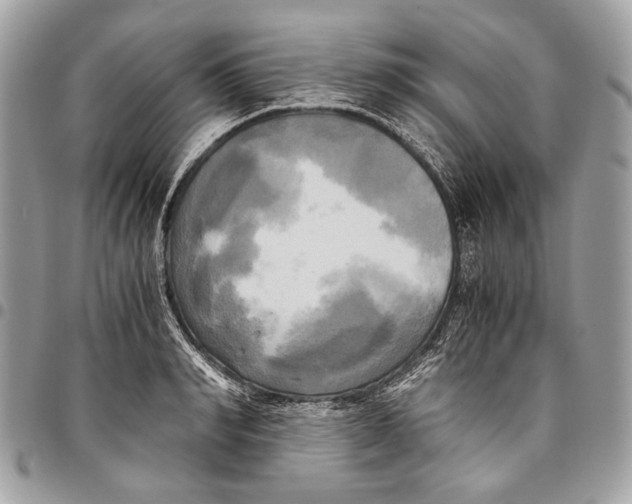 X0000096220990200802081521