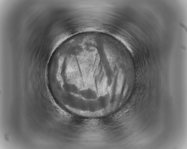 X0000096220991200802081521