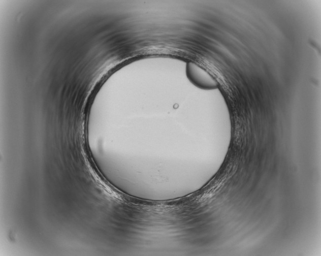 X0000096220992200802081521