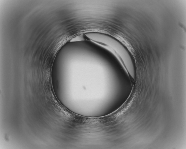 X0000096220993200802081521