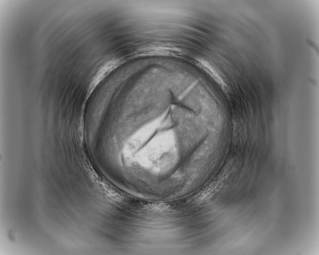 X0000096220994200802081521