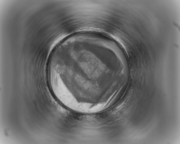 X0000096220995200802081521