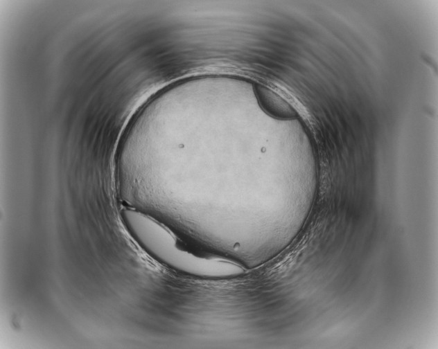 X0000096220996200802081521