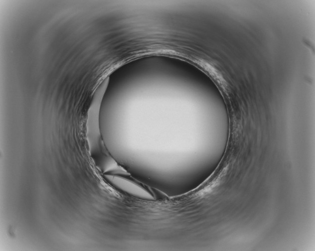 X0000096221001200802081521