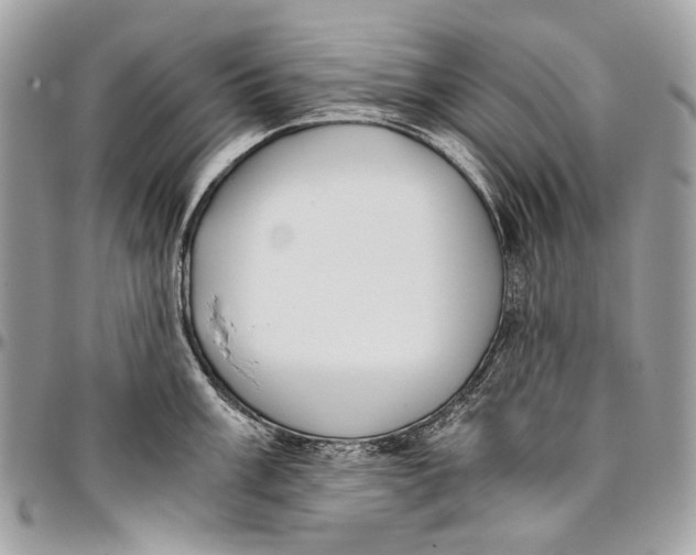 X0000096221003200802081521