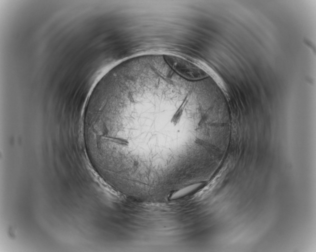 X0000096221004200802081521