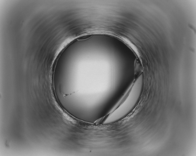 X0000096221005200802081521