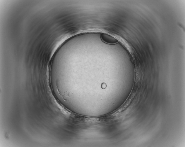 X0000096221006200802081521