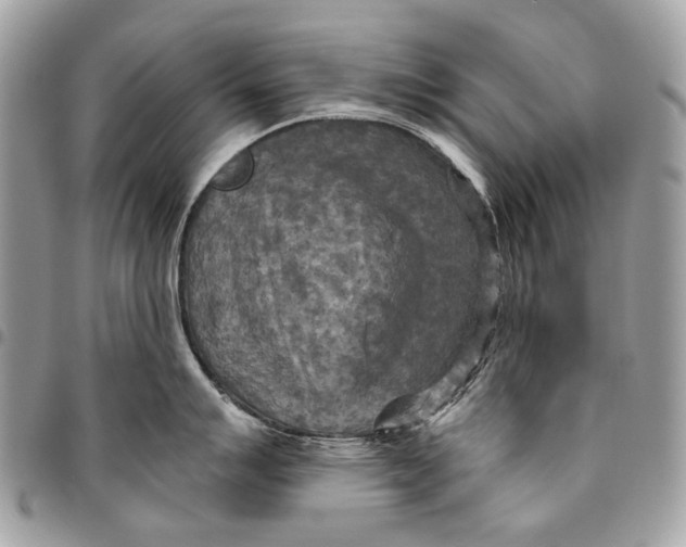 X0000096221007200802081521