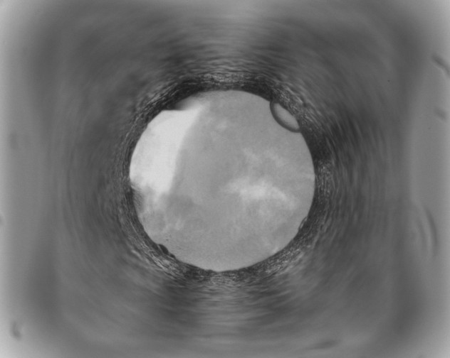 X0000096221009200802081520