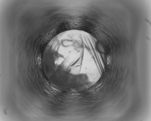 X0000096221011200802081520