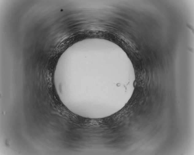 X0000096221013200802081520