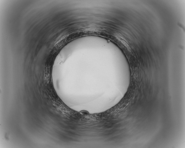 X0000096221015200802081520