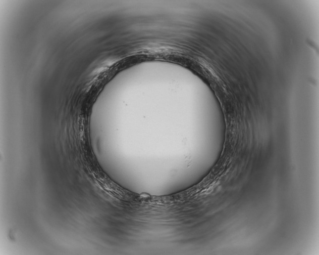 X0000096221016200802081520