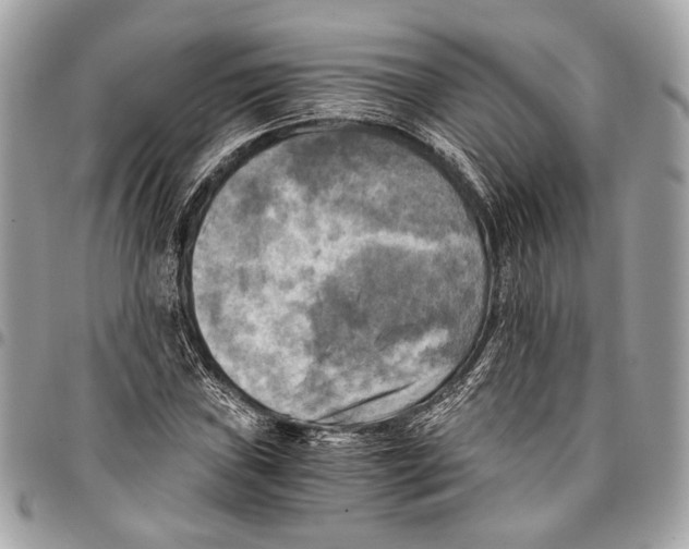 X0000096221019200802081520