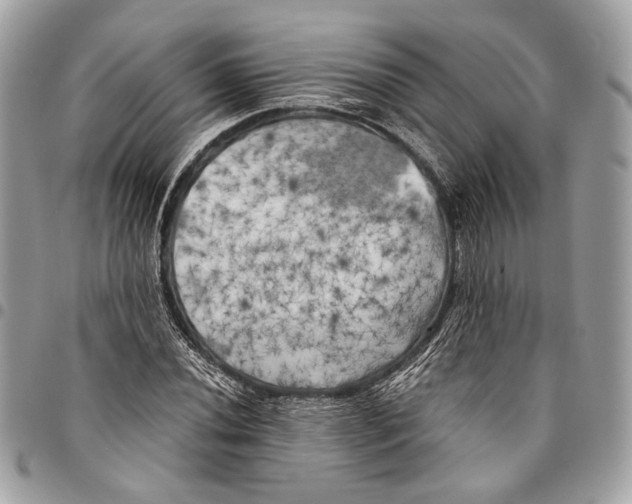 X0000096221020200802081520