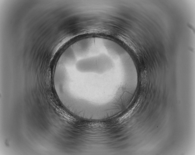 X0000096221021200802081520