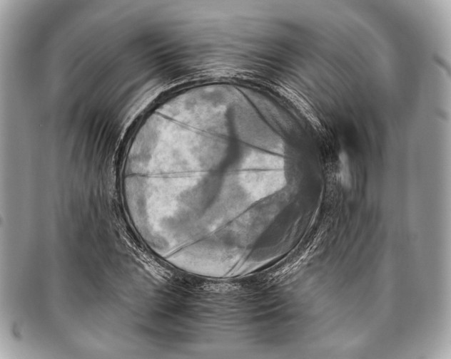 X0000096221023200802081520