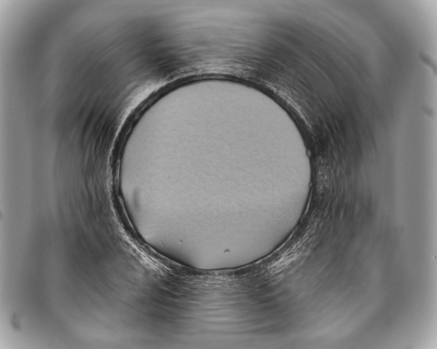 X0000096221024200802081520