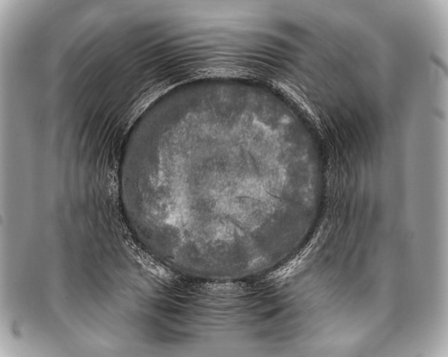 X0000096221025200802081520