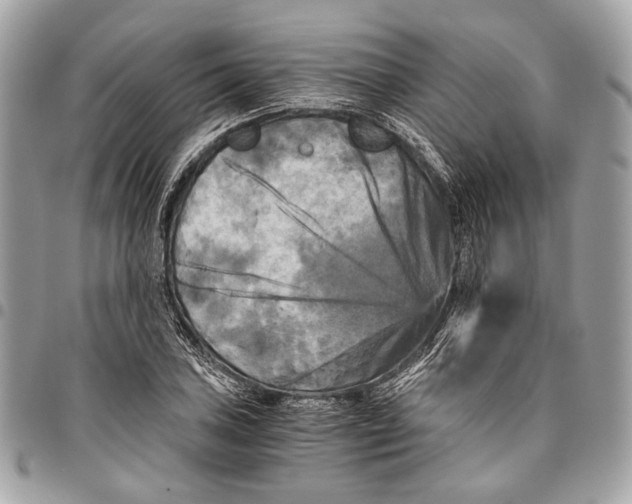 X0000096221027200802081521