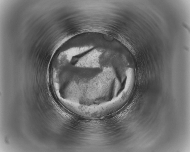 X0000096221028200802081521