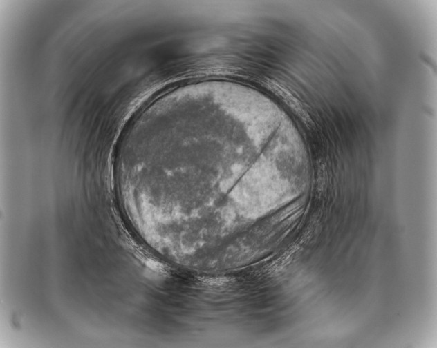 X0000096221031200802081521