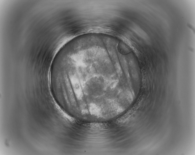 X0000096221032200802081521