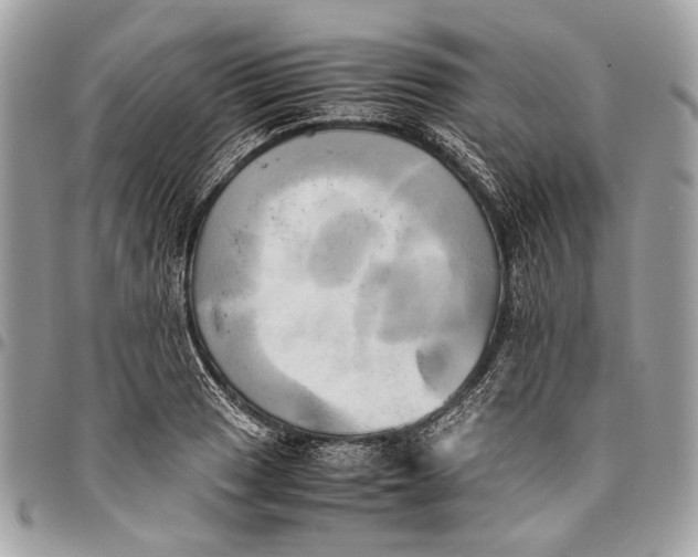 X0000096221033200802081521