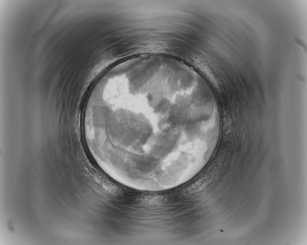 X0000096221035200802081521