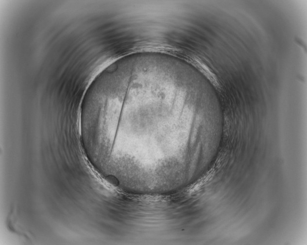 X0000096221036200802081521