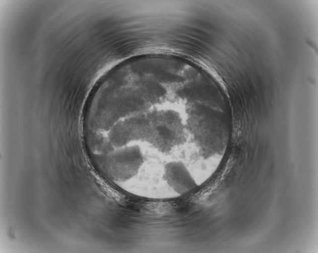 X0000096221037200802081521