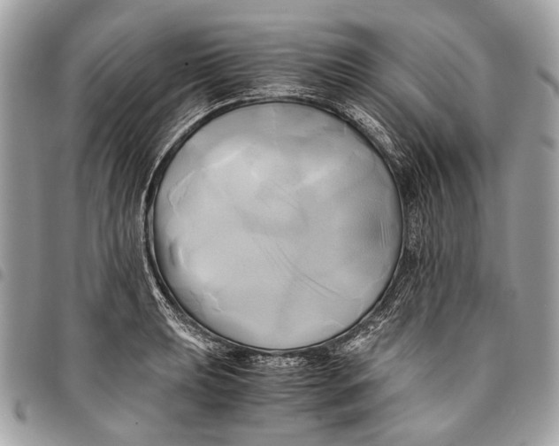 X0000096221039200802081521