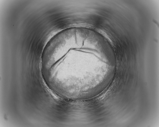 X0000096221040200802081521