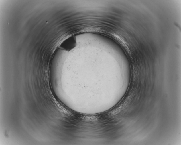 X0000096221041200802081521