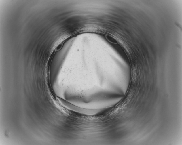 X0000096221042200802081521