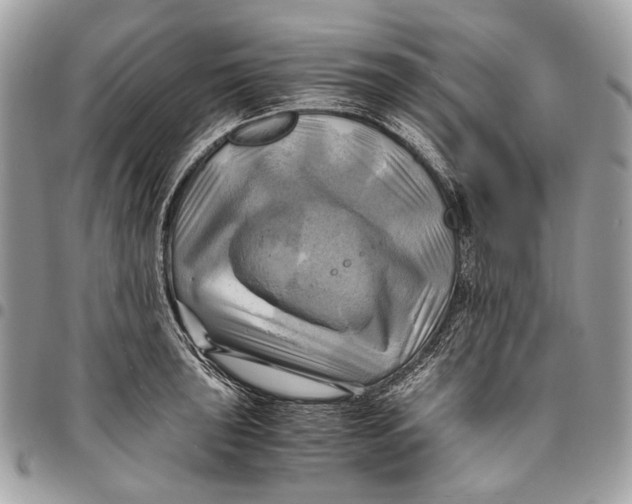 X0000096221043200802081521