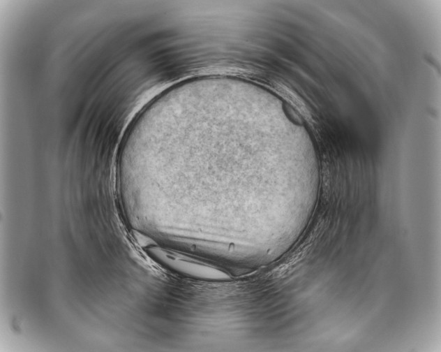 X0000096221044200802081521