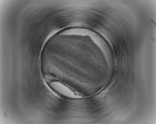 X0000096221045200802081521