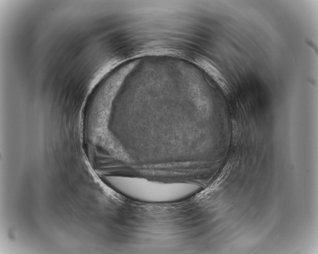 X0000096221046200802081521