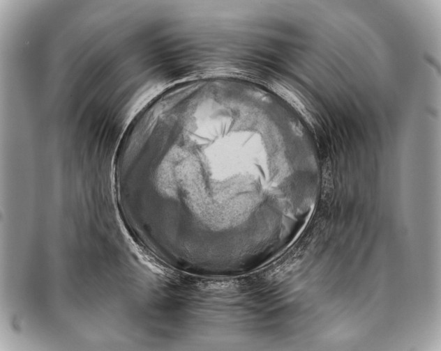 X0000096221047200802081521