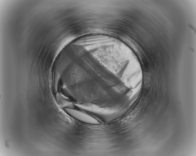 X0000096221048200802081521