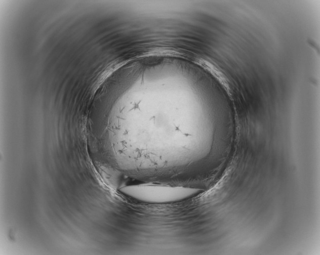 X0000096221049200802081521