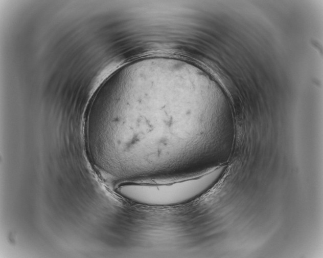 X0000096221050200802081521