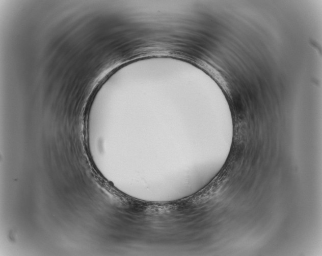 X0000096221051200802081521