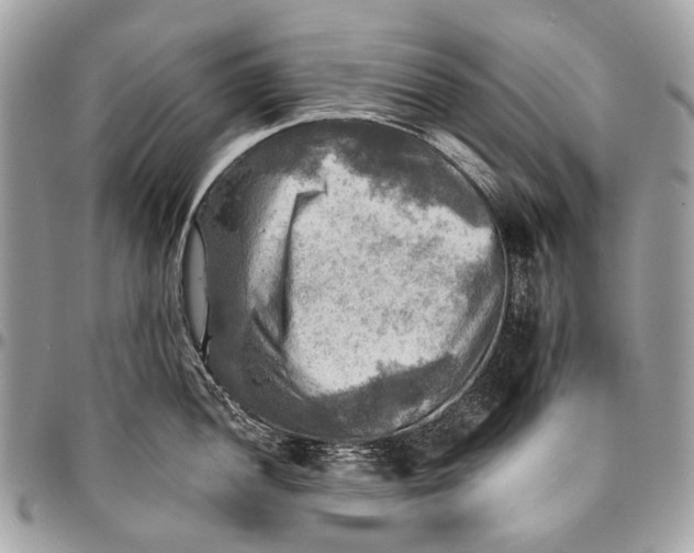 X0000096221052200802081521