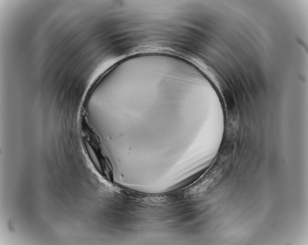 X0000096221053200802081521