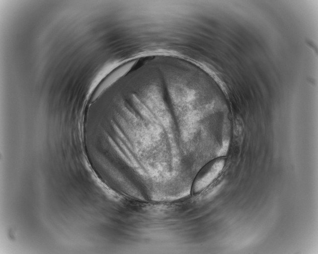 X0000096221054200802081521