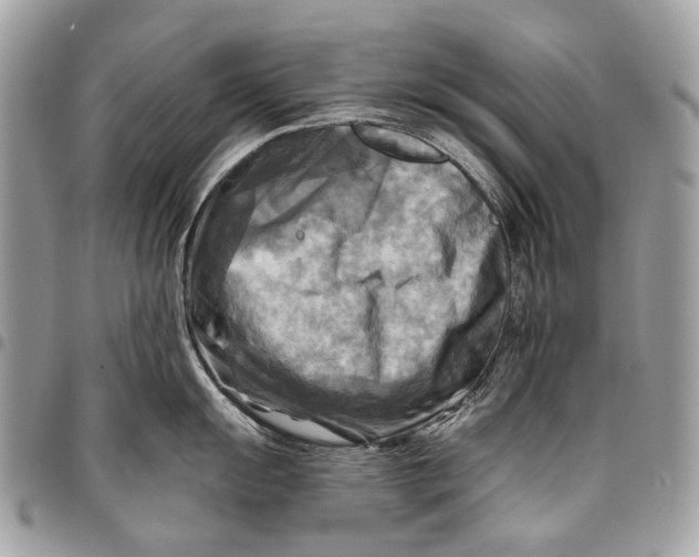 X0000096221055200802081521