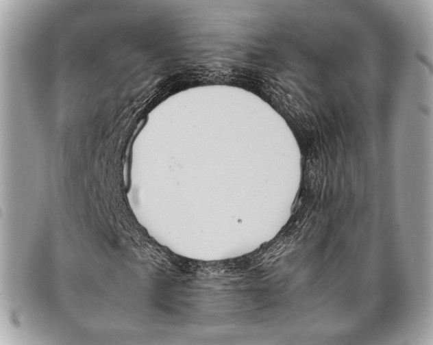 X0000096221057200802081520